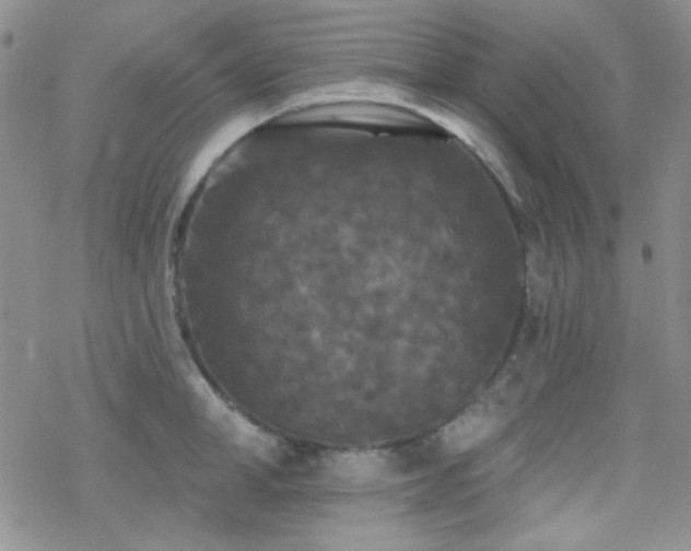 X0000070240998200606051120