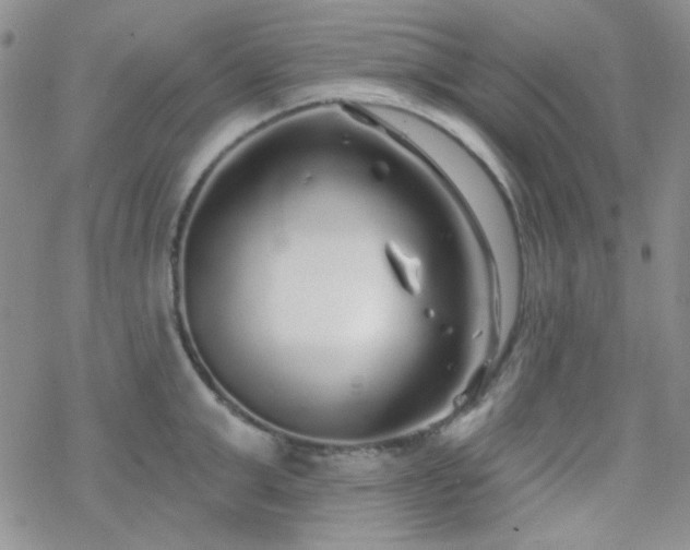 X0000070240999200606051120