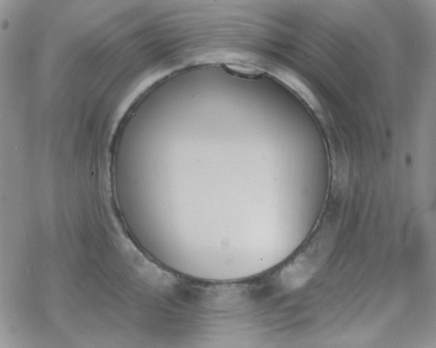 X0000070241000200606051120