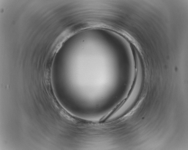 X0000070241001200606051120