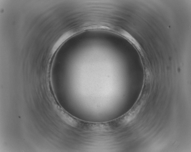 X0000070241002200606051120