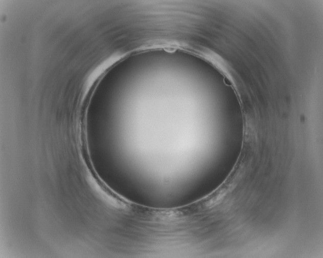 X0000070241003200606051120