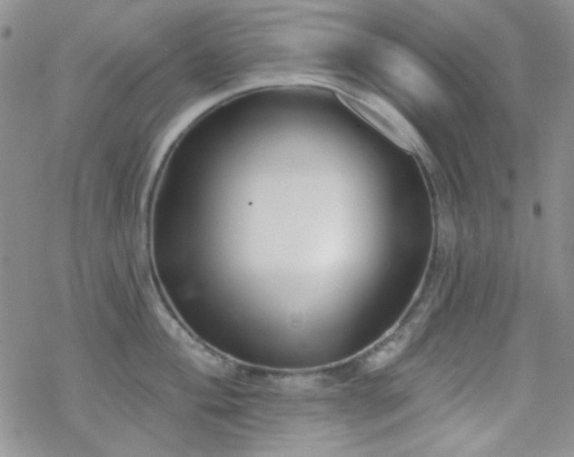 X0000070241004200606051120