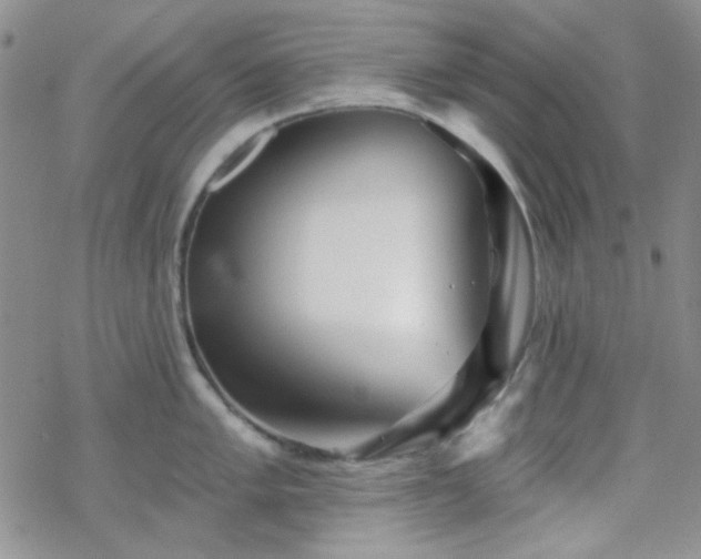 X0000070241005200606051120