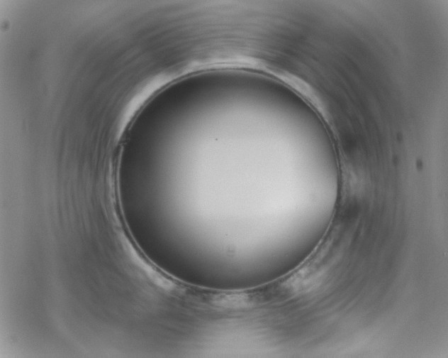 X0000070241006200606051120