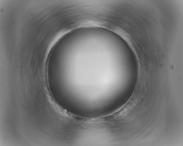 X0000070241008200606051120