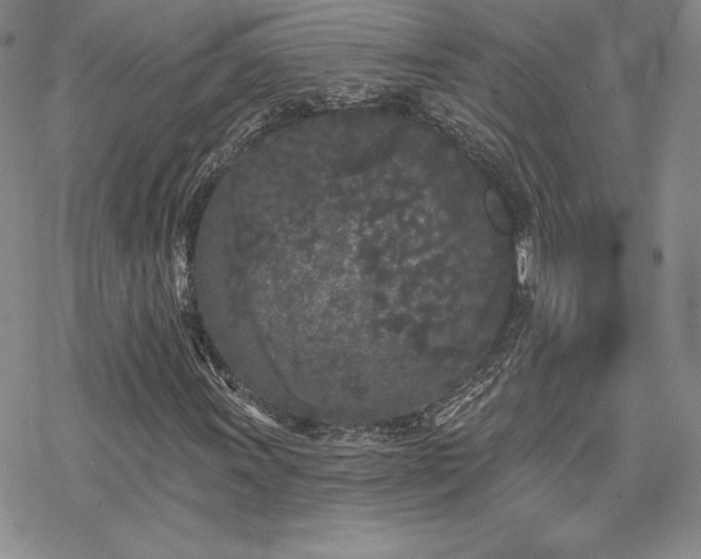 X0000070241011200606051119