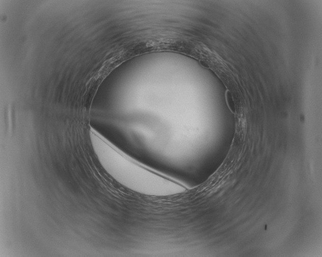 X0000070241012200606051119