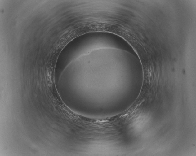 X0000070241013200606051119