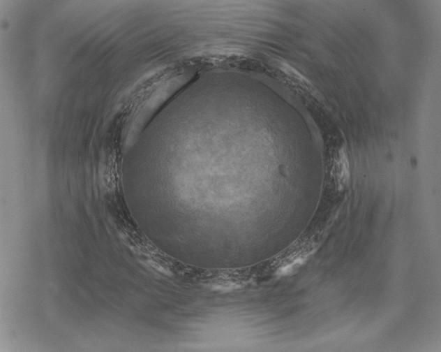 X0000070241014200606051119