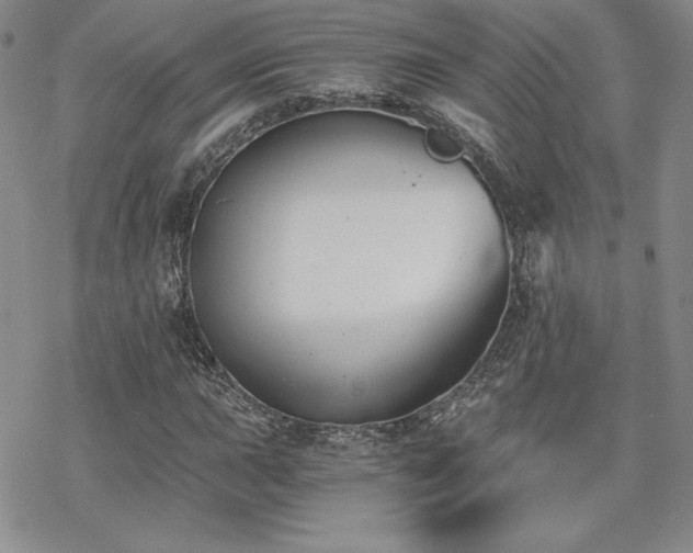 X0000070241015200606051119