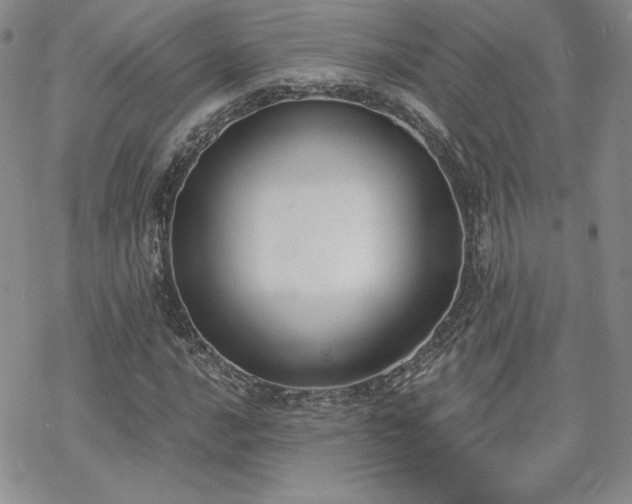 X0000070241016200606051119