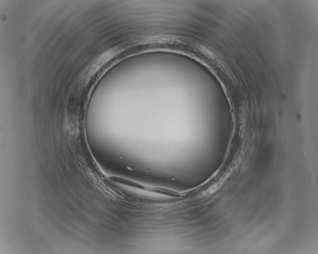 X0000070241017200606051119