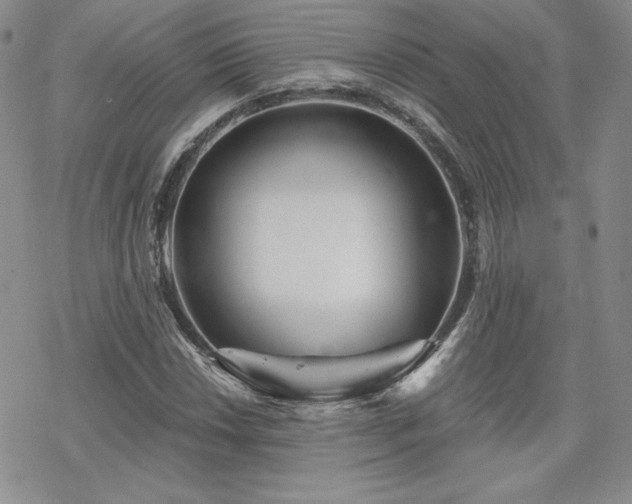 X0000070241018200606051119