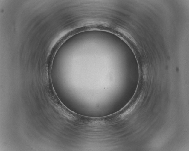 X0000070241021200606051119