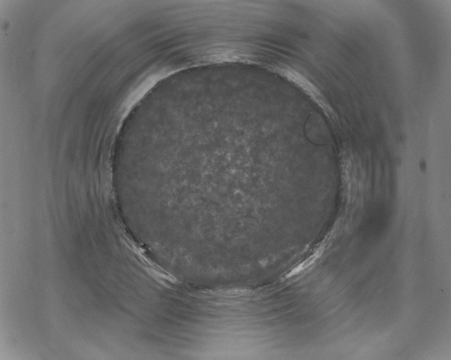 X0000070241023200606051119