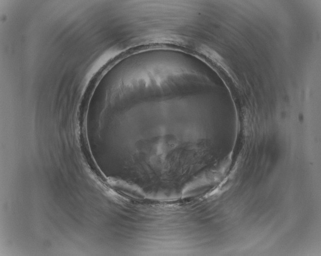 X0000070241024200606051119