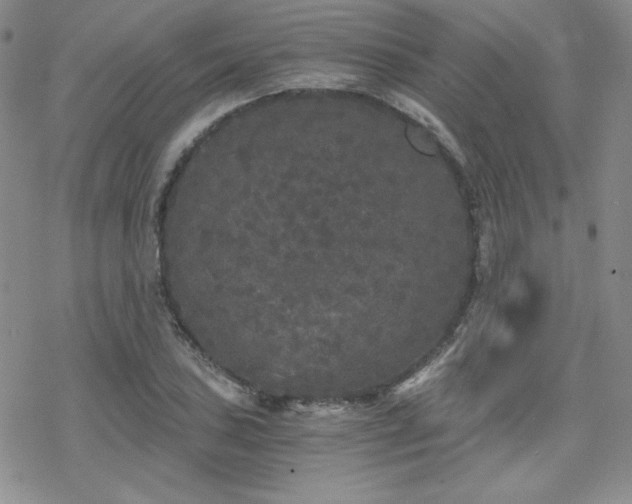 X0000070241027200606051119