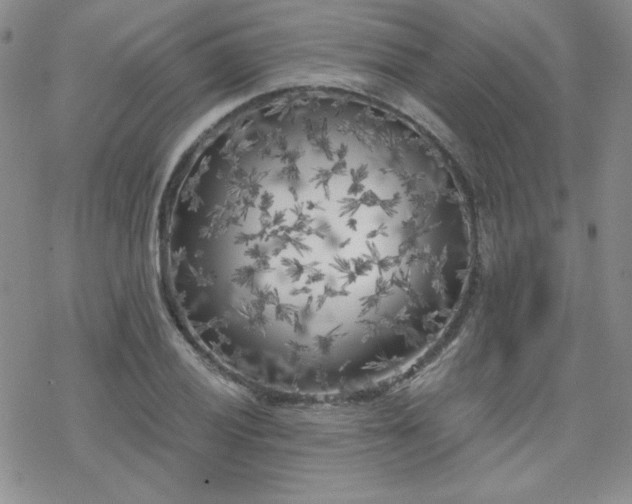 X0000070241028200606051119