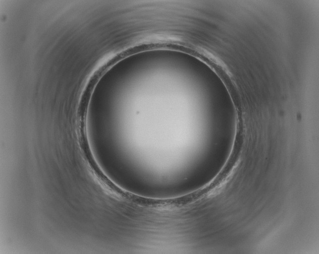 X0000070241029200606051119