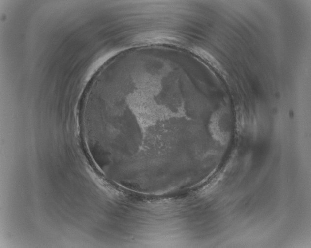 X0000070241031200606051120