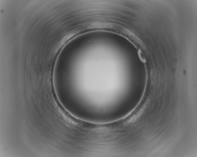 X0000070241033200606051120