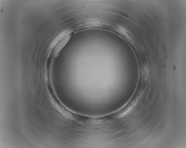 X0000070241034200606051120