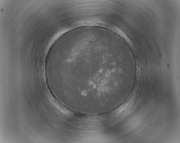 X0000070241035200606051120