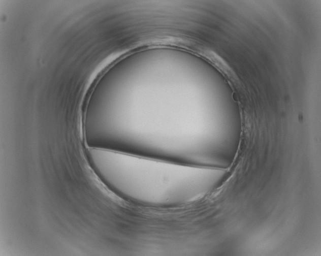 X0000070241036200606051120