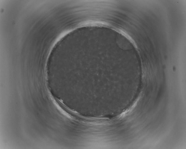 X0000070241037200606051120