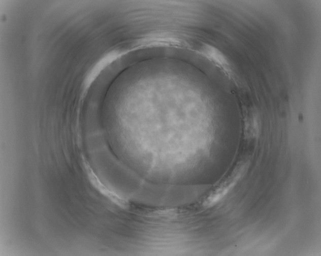 X0000070241038200606051120