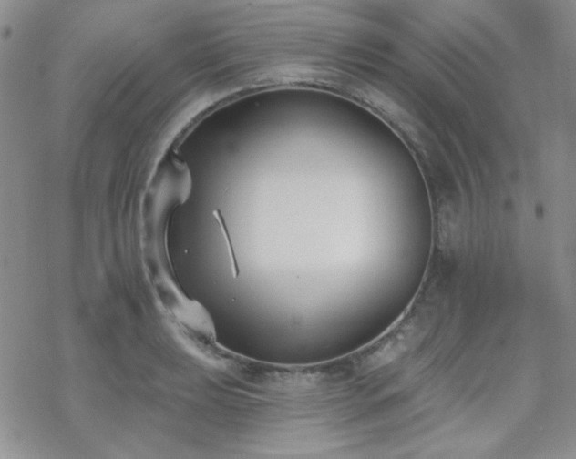 X0000070241039200606051120