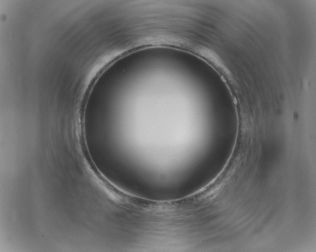 X0000070241040200606051120