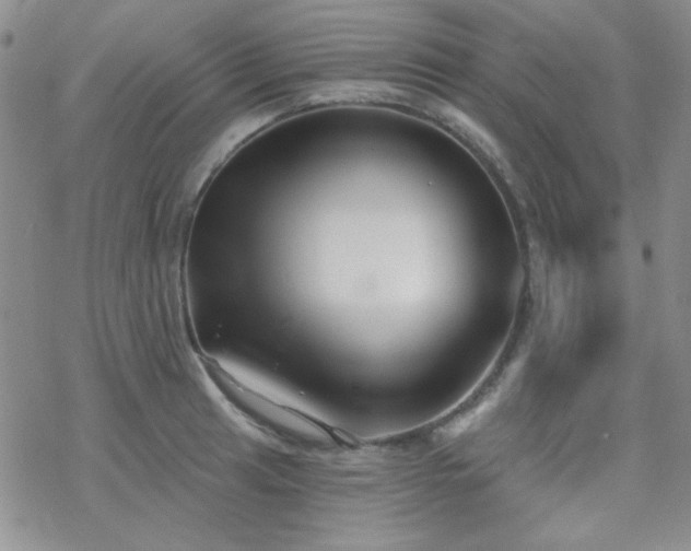 X0000070241041200606051120