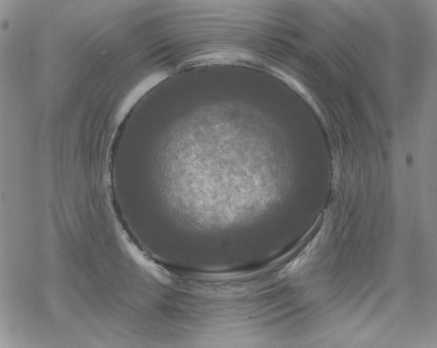 X0000070241042200606051120