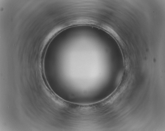 X0000070241043200606051120