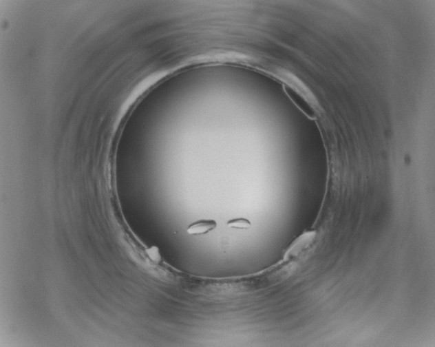 X0000070241044200606051120