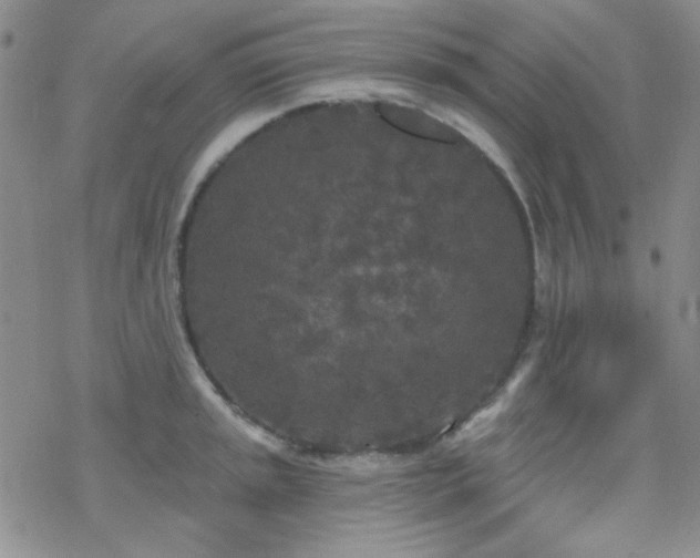 X0000070241045200606051120