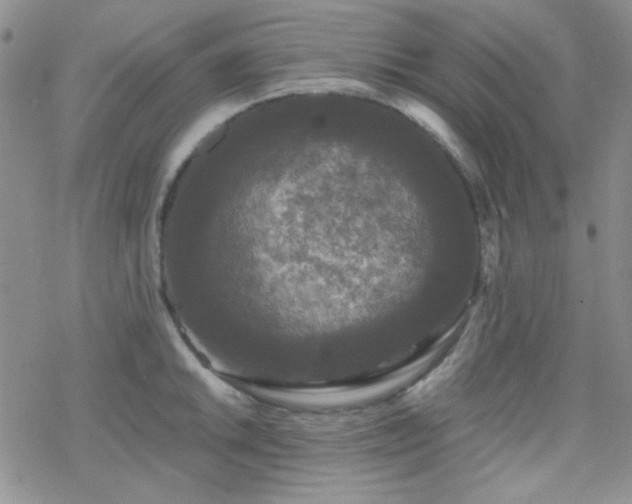 X0000070241046200606051120