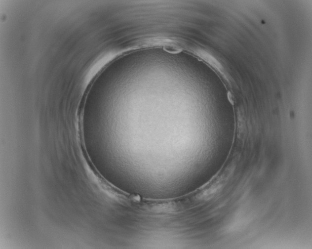 X0000070241047200606051120