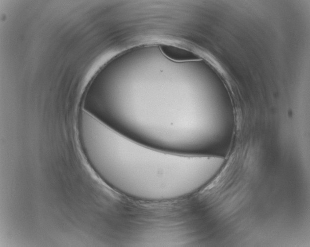 X0000070241048200606051120