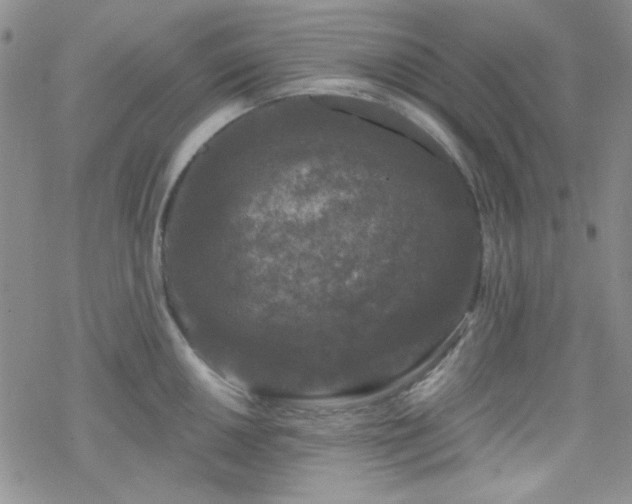 X0000070241050200606051120