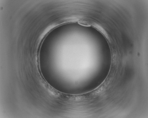 X0000070241051200606051120