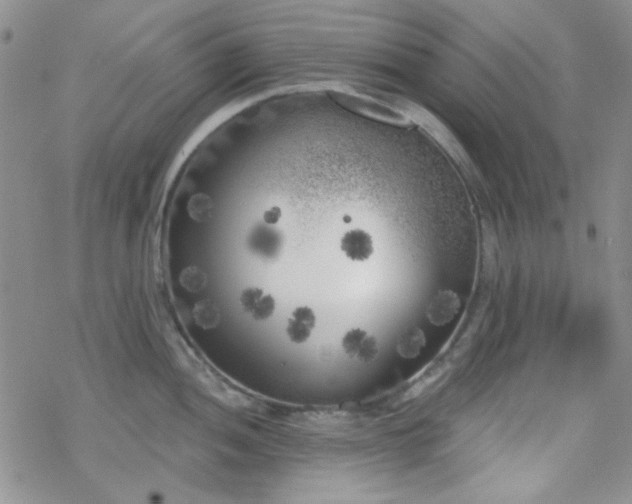 X0000070241052200606051120