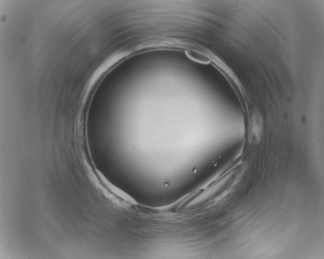 X0000070241053200606051120