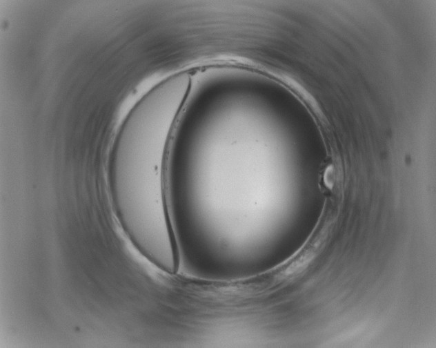 X0000070241054200606051120