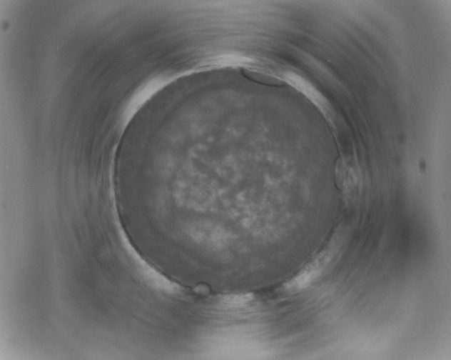 X0000070241055200606051120