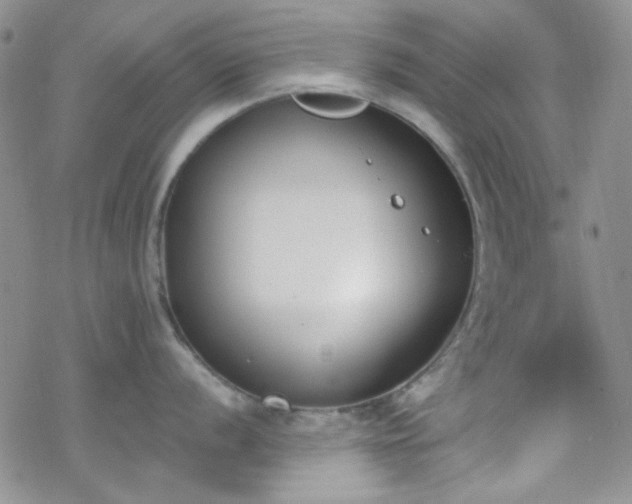 X0000070241056200606051120