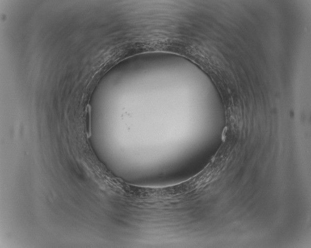 X0000070241057200606051119