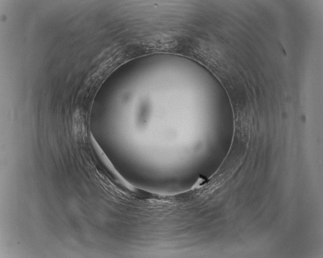 X0000070241058200606051119